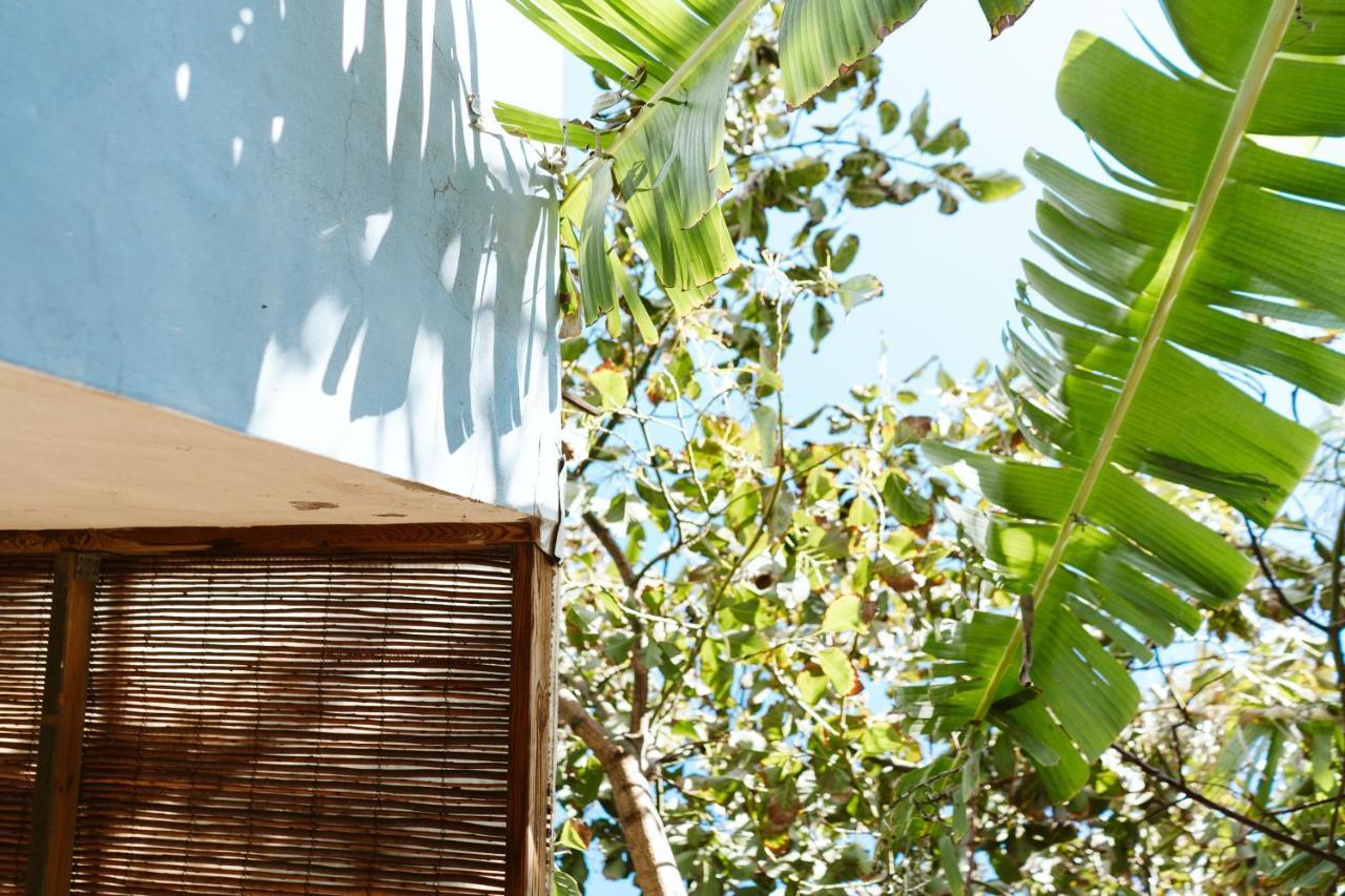 아루카스 Tortuga Blue House In Banana Plantation 빌라 외부 사진